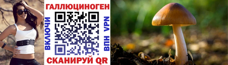 где продают   Краснотурьинск  Псилоцибиновые грибы Cubensis 